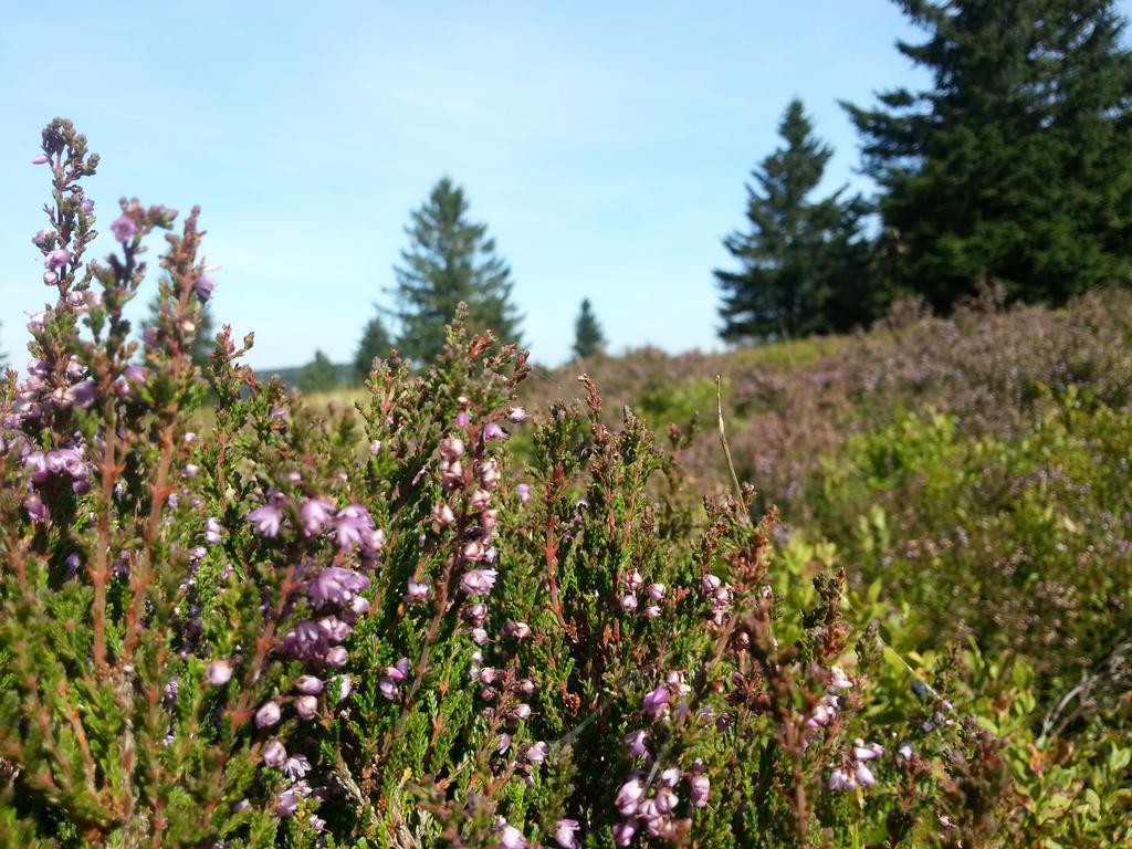 Ferienwohnungen Luge - วินเทอร์แบร์ก ภายนอก รูปภาพ