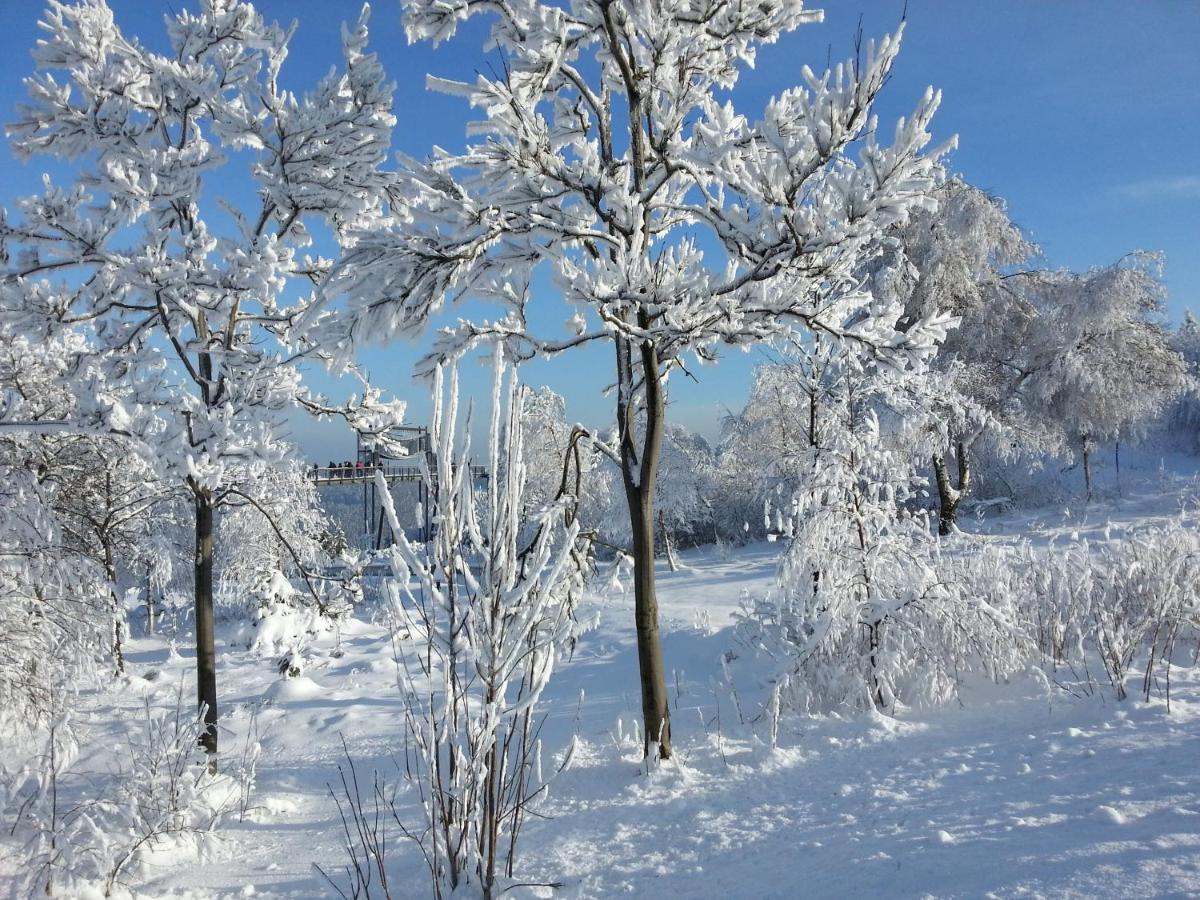 Ferienwohnungen Luge - วินเทอร์แบร์ก ห้อง รูปภาพ